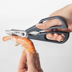 Alternative view of SCAMPO 6925503